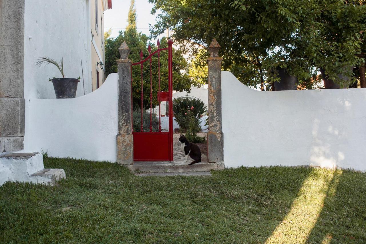 Casa Das Alfazemas Com Piscina, Jardim E Snooker Adao Lobo Екстериор снимка